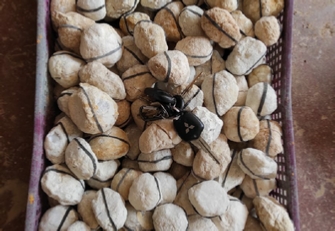 Minerals For Sale Minerals For Sale