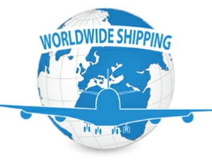 Worldwide Shipping Fossils Morocco Worldwide Shipping Fossils Morocco